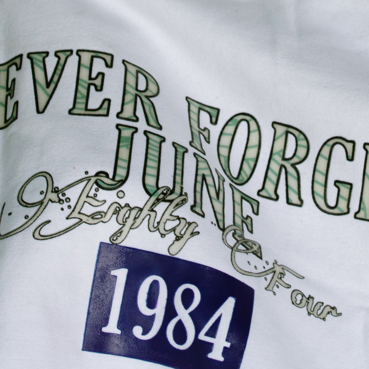 NEVER FORGER 1984 SWEATSHIRT